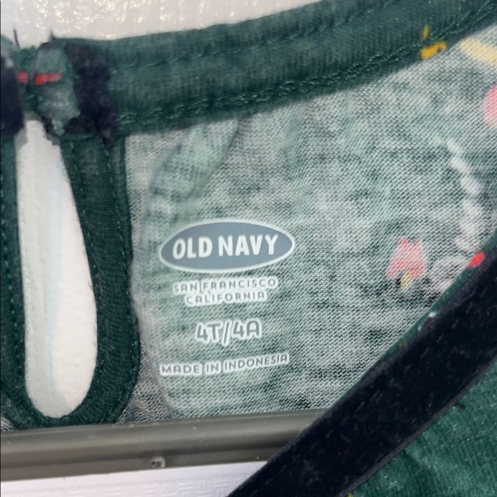 Old Navy 4T Girls Floral Dress with velvet trim collar, Green, Fall, Autumn - Picture 3 of 8